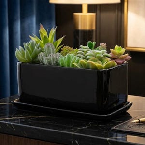 May include: A rectangular black ceramic planter with a matching drip tray, filled with an assortment of green, light green, and pale pink succulent plants. The planter has a smooth, glossy finish and holds various textures of small cacti and succulents.