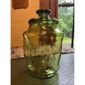 Op de afbeelding: Een doorschijnende olijfgroene glazen pot met een afgerond lichaam, een herhalend reliëfpatroon van ovalen en een bijpassend afneembaar glazen deksel met een centrale knopgreep. Het glas heeft een gladde afwerking en een brede opening.