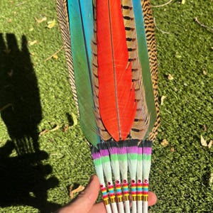 Può includere: Un ventaglio a mano composto da una collezione di lunghe piume nelle tonalità vivaci dell'arancione brillante, del turchese e del piumaggio a motivi marroni e neri. La base presenta calami bianchi avvolti da perline colorate e un manico in pelle bianca.