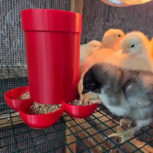 May include: A bright red cylindrical poultry feeder with four small feeding bowls at the base, filled with brown grain feed. Several fluffy yellow chicks and one grey and black chick are gathered around the feeder on a wire mesh floor.
