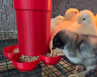 Small Chick Feeder
