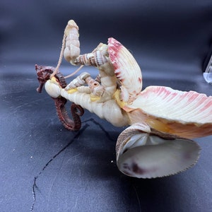 Kitschy Seahorse Chariot Sculpture Sea Shell Art Beach Seashore Nautical Figure Seashells Mid Century image 3