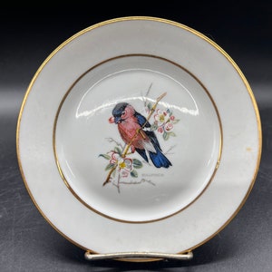 Hutschenreuther Selb LHS Bavaria Bullfinch Trinket Dish Germany Handpainted 6” Plate FREE SHIPPING