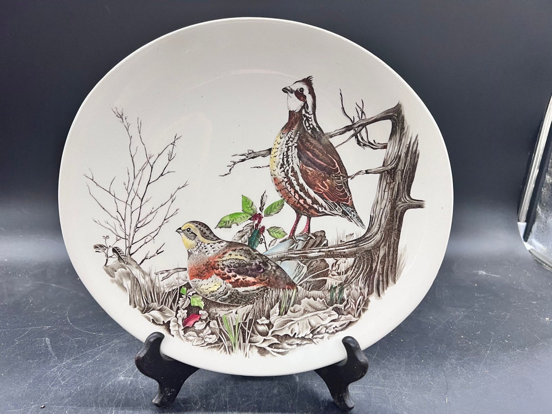 Johnson Brothers Game Birds Quail Oval Dinner Plate England Etsy