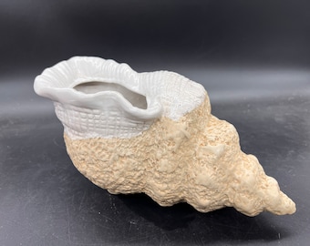 Conch Shell Planter Large Ceramic Two Tone Glossy White and Bisque Beige FREE SHIPPING