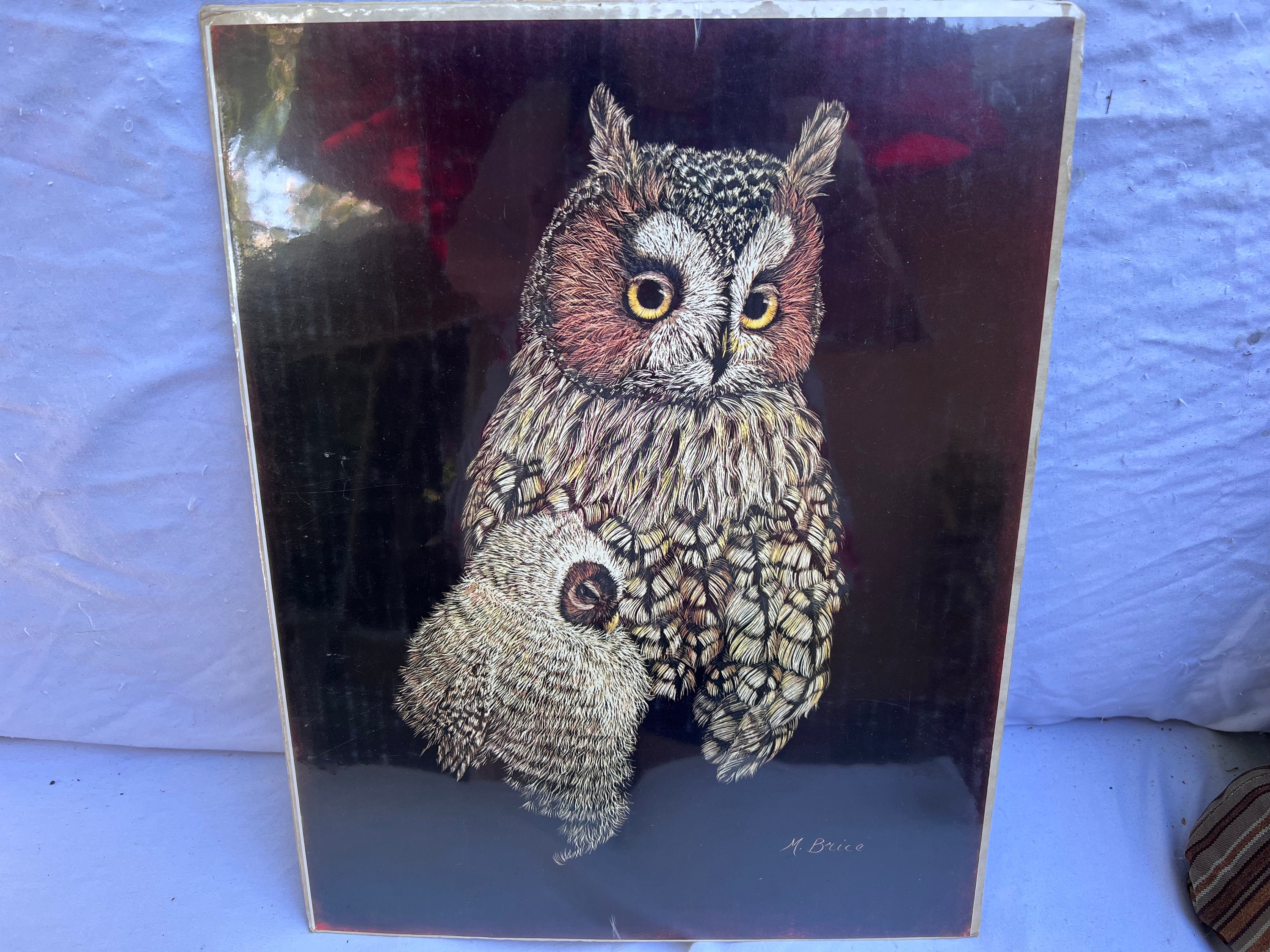 Vintage Owl Lithograph by Marjorie Brice, Unframed 11x14 - Etsy