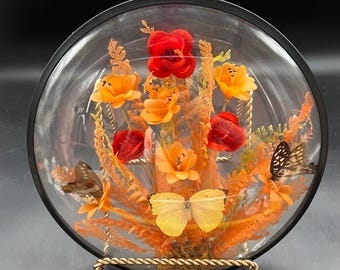 Butterflies Silk Flower Shadow Box Display Decor Round Convex Shelf Art