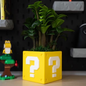 May include: A square yellow planter featuring a white question mark symbol on its front face. The planter contains a green Zamioculcas zamiifolia plant with thick, glossy leaves. The design mimics a classic video game block with a bright finish.