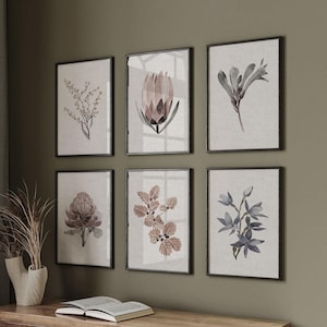Muted Australian Native Flower Art Print Set, Painted Abstract Florals, Protea, Wattle, Kangaroo Paw, Waratah, Fagus, Botanical, Giclee