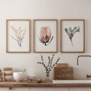 Australian Native Flower Art Print Set, Painted Abstract Florals, Protea, Wattle, Kangaroo Paw, Waratah, Fagus, Botanical Prints, Giclee