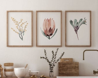 Australian Native Flower Art Print Set, Painted Abstract Florals, Protea, Wattle, Kangaroo Paw, Waratah, Fagus, Botanical Prints, Giclee