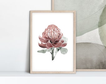 Waratah Painted Abstract A3 or A4 Art Print, Australian Native Bloom, Floral Plant Botanical Print, Giclee