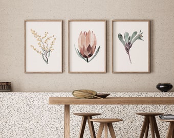 Australian Native Flower A1 or A2 Art Print Set, Painted Abstract Florals, Botanical Prints, Giclee