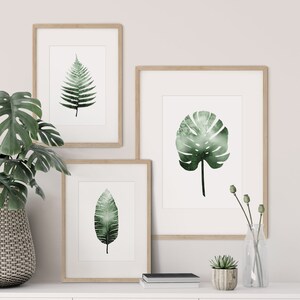 Watercolour Fern, Monstera and/or Banana Leaf A4 or A3 Art Prints, Plant Print Pair, Set of 3 Botanical Posters, Giclee image 1