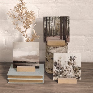 Beige Art Card Set, Tasmanian Landscape and Floral, Shelfie Art, Set of 3 Art Cards, Postcard Set, Australian Art