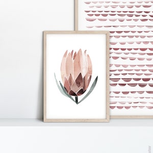 Protea Painted Abstract A3 or A4 Art Print, Australian Native Abstract, Floral Plant Botanical Print, Flower Poster, Giclee