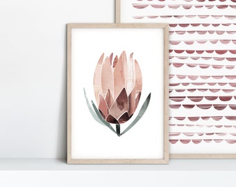 Protea Painted Abstract A3 or A4 Art Print, Australian Native Abstract, Floral Plant Botanical Print, Flower Poster, Giclee