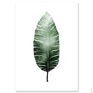 Watercolour Fern, Monstera and/or Banana Leaf A4 or A3 Art Prints, Plant Print Pair, Set of 3 Botanical Posters, Giclee image 4
