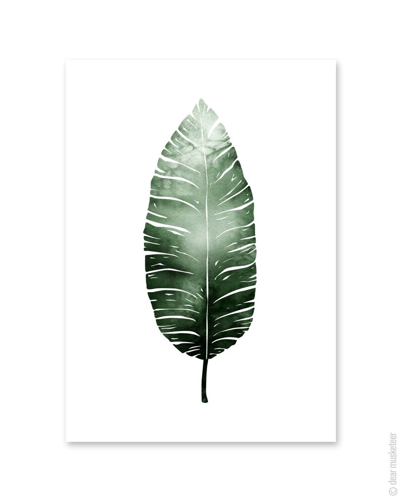 Watercolour Fern, Monstera and/or Banana Leaf A4 or A3 Art Prints, Plant Print Pair, Set of 3 Botanical Posters, Giclee image 4