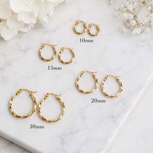 May include: Four pairs of gold-toned twisted hoop earrings in varying sizes. The pairs are labelled with their respective diameters: 10mm, 15mm, 20mm, and 30mm. Each hoop features a continuous twisted metal texture and a hinged post closure mechanism.