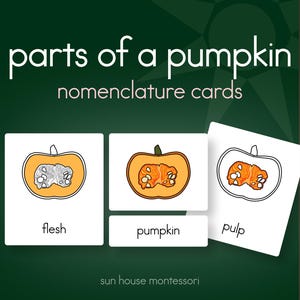 May include: Educational nomenclature cards titled parts of a pumpkin by sun house montessori. Three white cards display illustrations of pumpkin cross-sections with labels flesh, pumpkin, and pulp in black text on a dark green background.