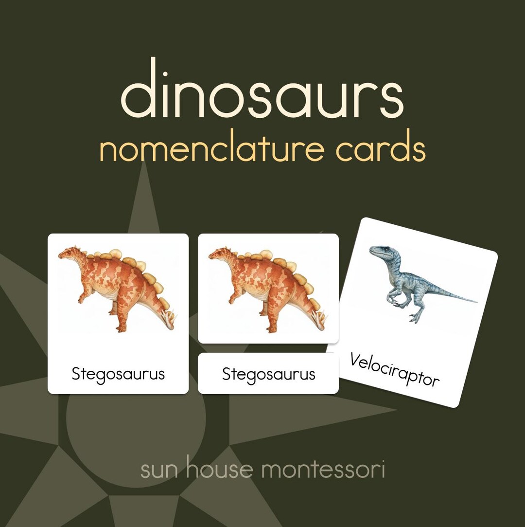 Dinosaur Montessori Nomenclature Cards - Etsy