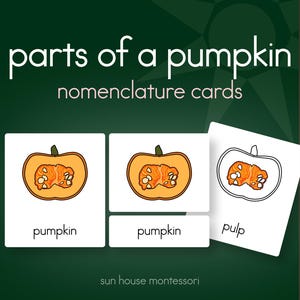 以下が含まれることがあります： parts of a pumpkinおよびsun house montessoriと書かれた教育用名称カード。カードにはカボチャの断面図が描かれており、pumpkinおよびpulpというラベルが付けられています。デザインは濃い緑色の背景に白いカードが配置されています。