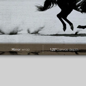 Canvasafdruk vliegtuig American Airlines, vintage luchtvaart muurkunst, foto cowboy te paard, reisdecor halverwege de eeuw, zwart-witte kunst afbeelding 7