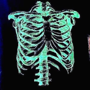 SKELETON T-Shirt Black/Fluorescent Green Ink Inspired by SPINAL TAP's Nigel Tufnel Shirt New Unworn Shirt Halloween Costume Party