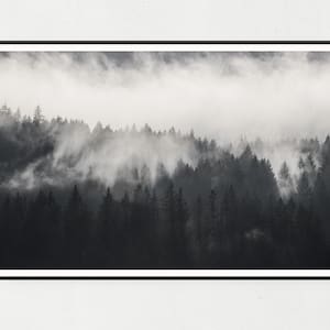 Foggy Forest Photography Print – Black and White Scandinavian Wall Art (Digital Download)