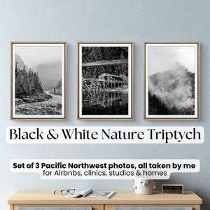 Pacific Northwest Black & White Mountain Triptych (Digital Download)