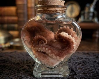 Baby Octopus Wet Specimen Jar | Gothic Apothecary Oddity Display Gift