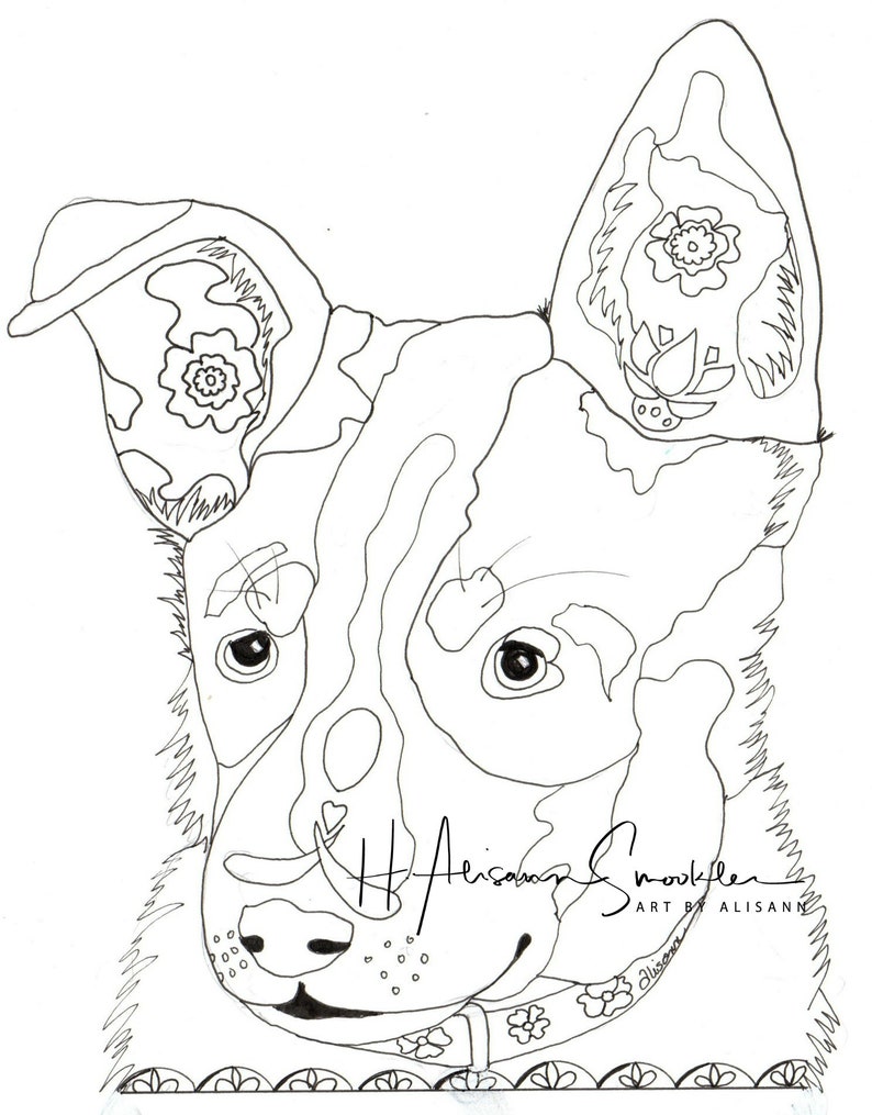 Download Australian Cattle Dog Blue Heeler Coloring Pages Sketch ...
