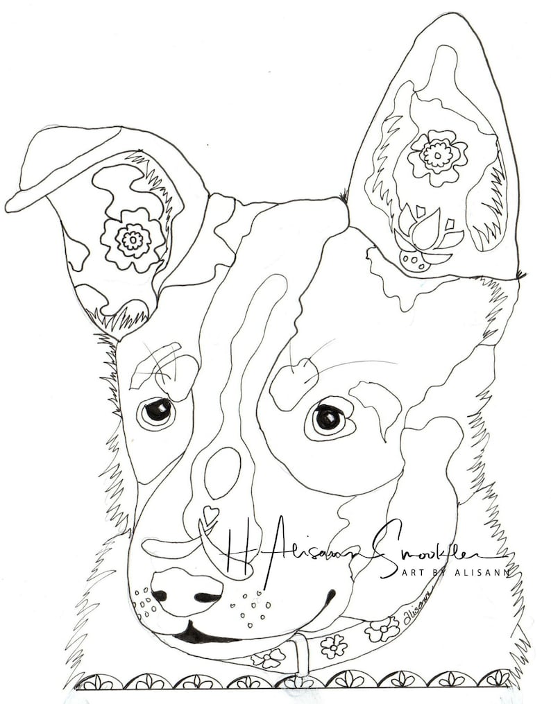 Download Australian Cattle Dog Blue Heeler Coloring Pages Sketch ...