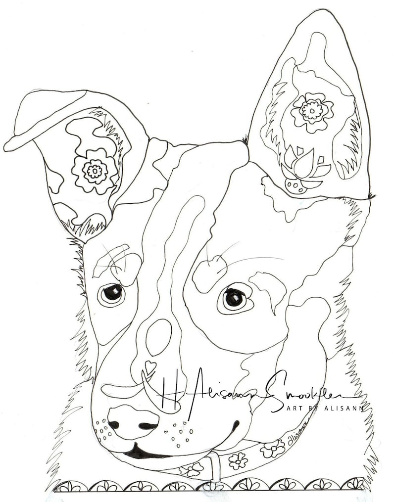 Download Australian Cattle Dog Blue Heeler Coloring Pages Sketch ...