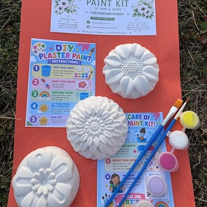 May include: A DIY plaster paint kit featuring three white flower-shaped plaster figures, two blue paintbrushes, and a strip of six small paint pots. Included are printed instruction cards titled DIY PLASTER PAINT and PAINT KIT.