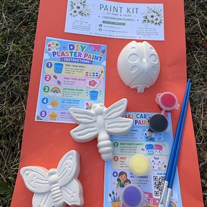 Puede incluir: Un kit de pintura de yeso DIY que incluye tres figuras de yeso blanco: una mariquita, una libélula y una mariposa. El set contiene dos pinceles con mangos azules, cuatro botes de pintura pequeños en rosa, negro, amarillo y morado, y dos tarjetas de instrucciones.