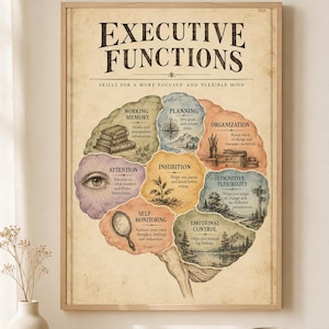 May include: A framed educational poster titled Executive Functions with a brain-shaped diagram divided into eight colored sections. Each section features a unique illustration and text describing cognitive skills like memory, planning, and attention.