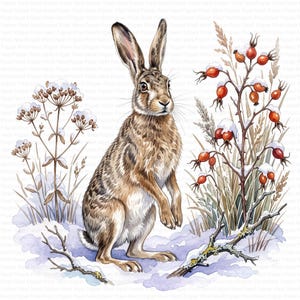 May include: A brown hare stands upright in a snowy landscape, surrounded by dried winter flora and branches with red rose hips. The scene features detailed fur textures, delicate white snow accents, and tall grasses.