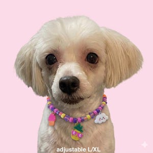 May include: A small white dog wearing a colorful beaded collar with charms. The collar has a pink ice cream cone, a yellow pineapple with sunglasses, and a white cloud charm. The text "adjustable L/XL" is at the bottom.