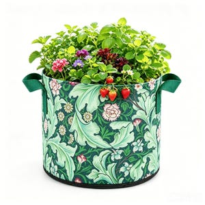 Lot de 2 sacs de culture en tissu de 5 gallons avec poignées, motifs imprimés en 3D, pots de fleurs non tissés pour fruits, légumes, fleurs