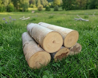 Set of 5 Large White Birch Logs: 18 Inch Rustic Wood Decor
