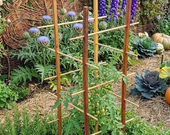 Hardwood Tomato Plant Support – Wooden Garden Cage for Climbing Plants & Veggies