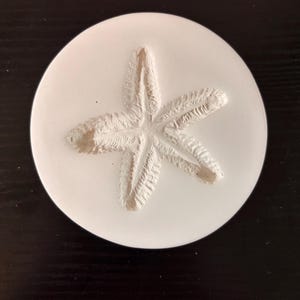 May include: A circular white coaster featuring a raised, textured, five-pointed starfish relief in the center. The surface of the starfish is detailed with ridges and grooves, contrasting with the smooth, flat white background of the circular disc.