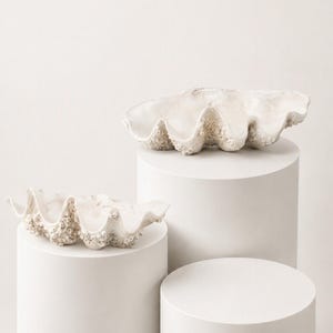 White Shell Realistic Decorative Bowl for Home