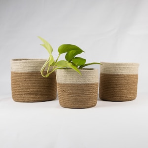 May include: Three cylindrical baskets made of coiled rope, featuring a two-tone design with a natural tan base and an off-white upper section. A green leafy plant is placed inside the central basket, which is slightly smaller than the others.
