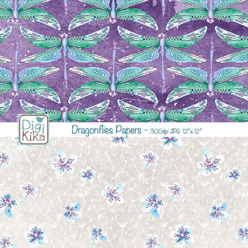 Dragonfly interesting facts picture