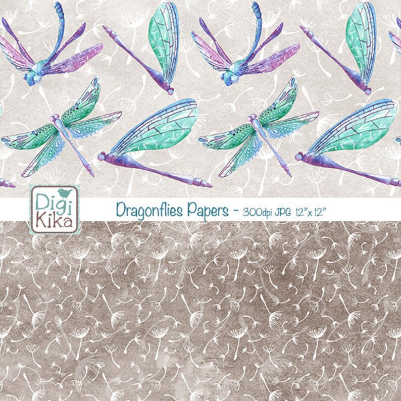 Dragonfly essays 08 picture