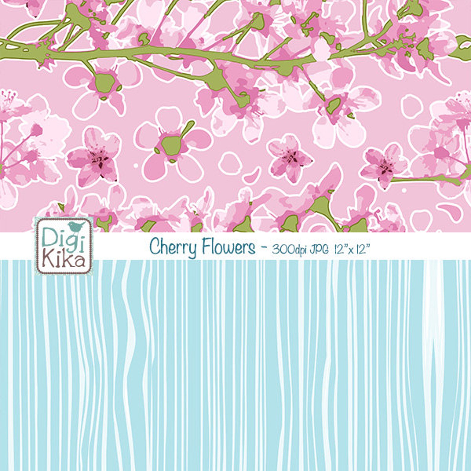 Cherry blossom facts picture