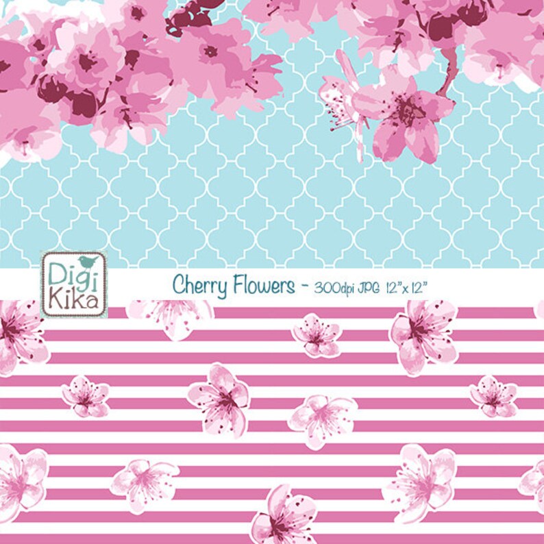 Beauty of sakura picture